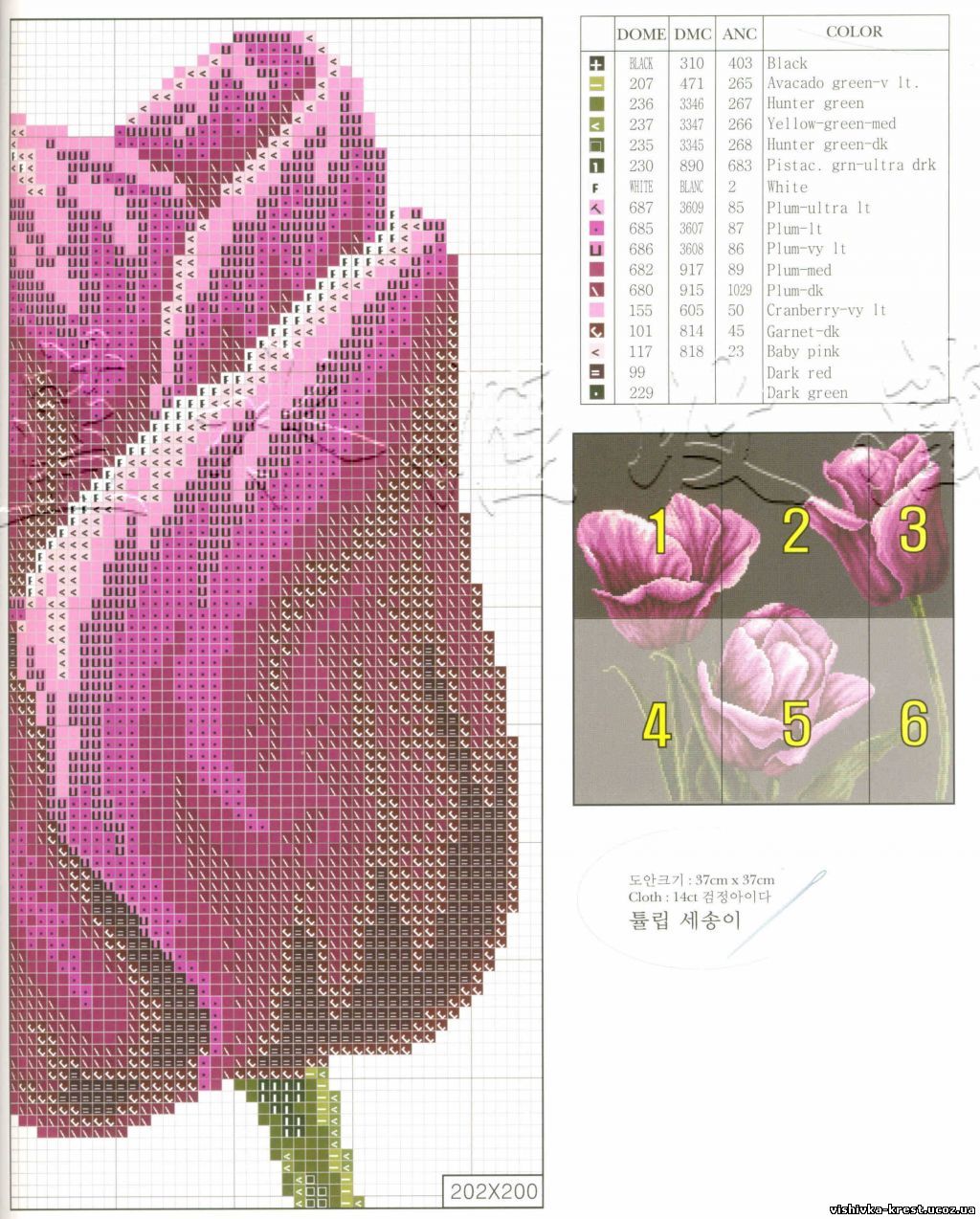 Вышивка Тюльпаны